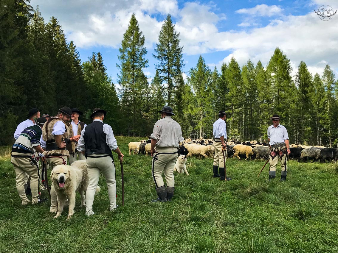 Wiosenny redyk w Małopolsce
